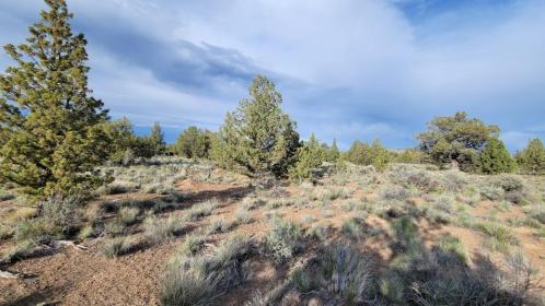 Property image.