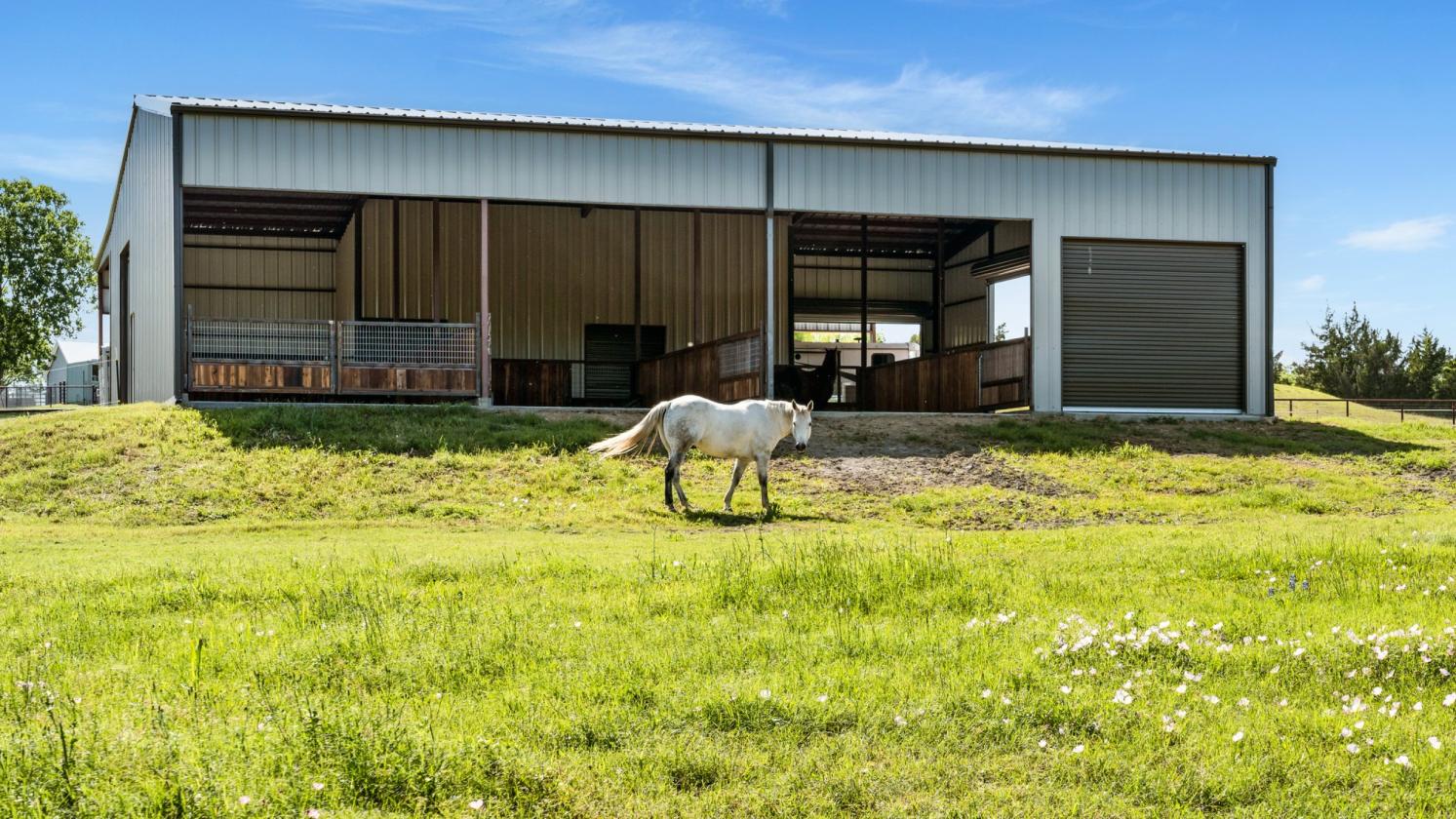 Equestrian & 4-H/FFA Show Livestock Estate - photo 21
