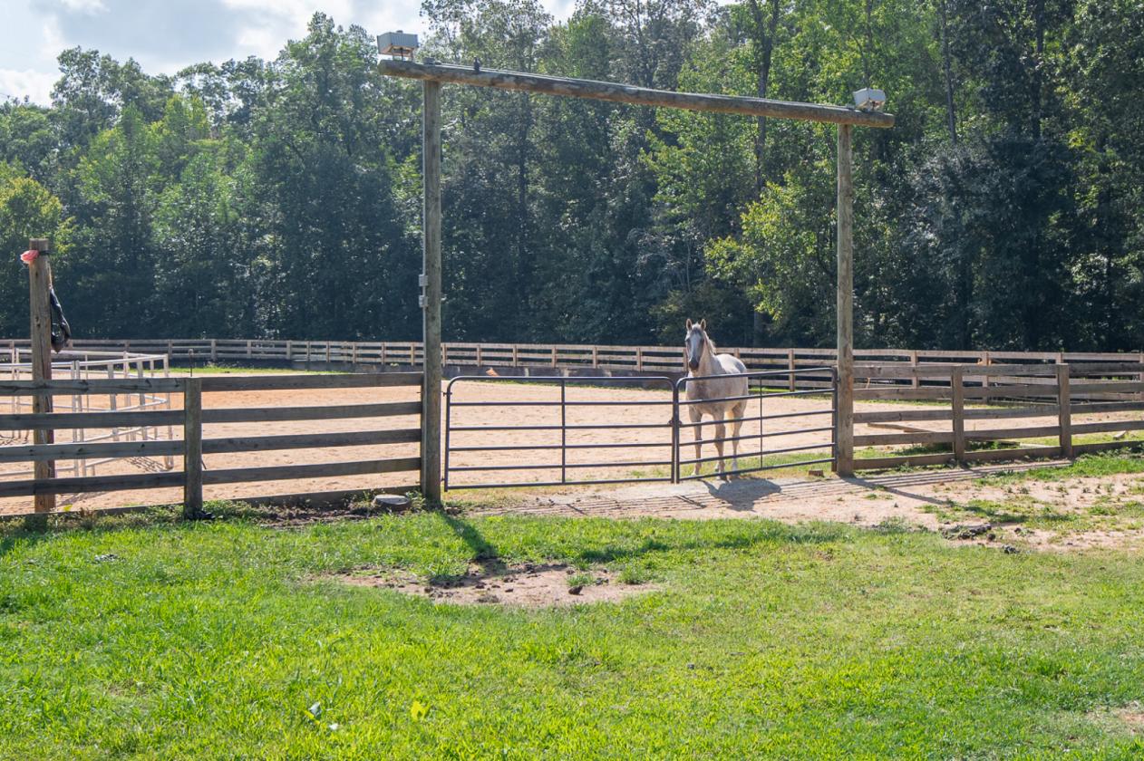 Must SEE Equestrian Property on 25+ acres - photo 11