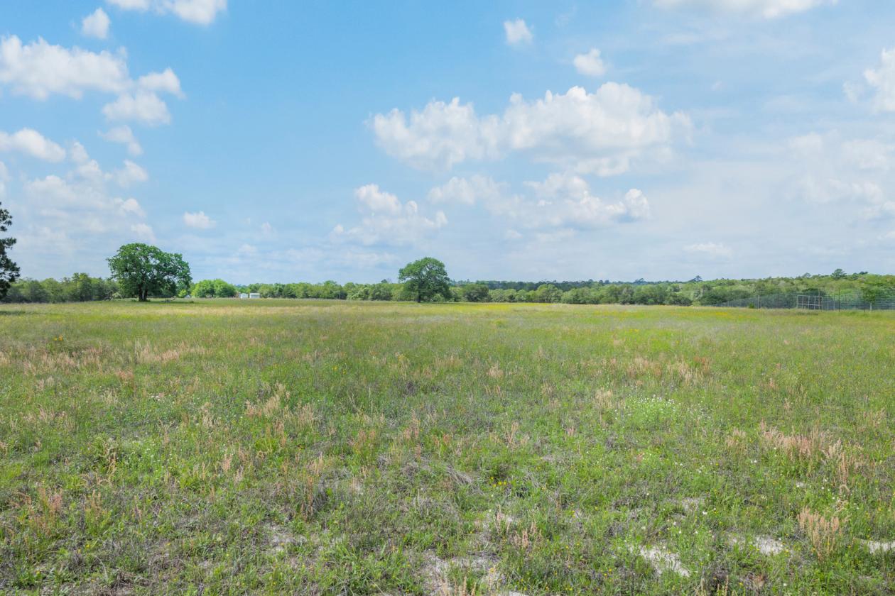99 Unrestricted acres - photo 6