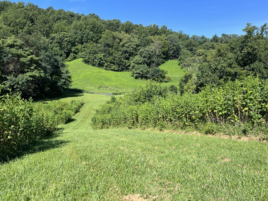Fox Hill - in Virginia's Hunt Country - photo 27