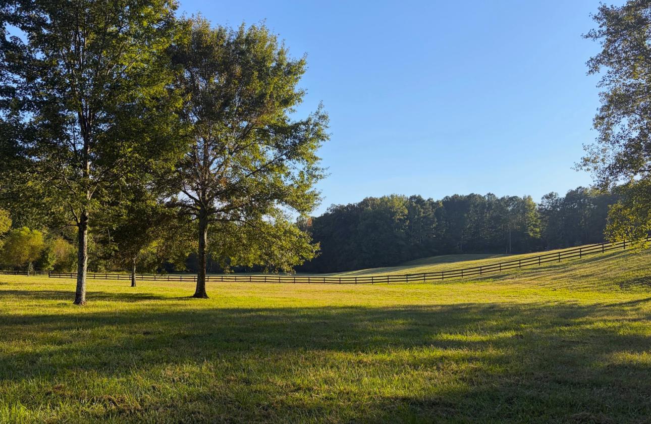 Equestrian Country Estate/ Private Lake/ 53 acres - photo 29