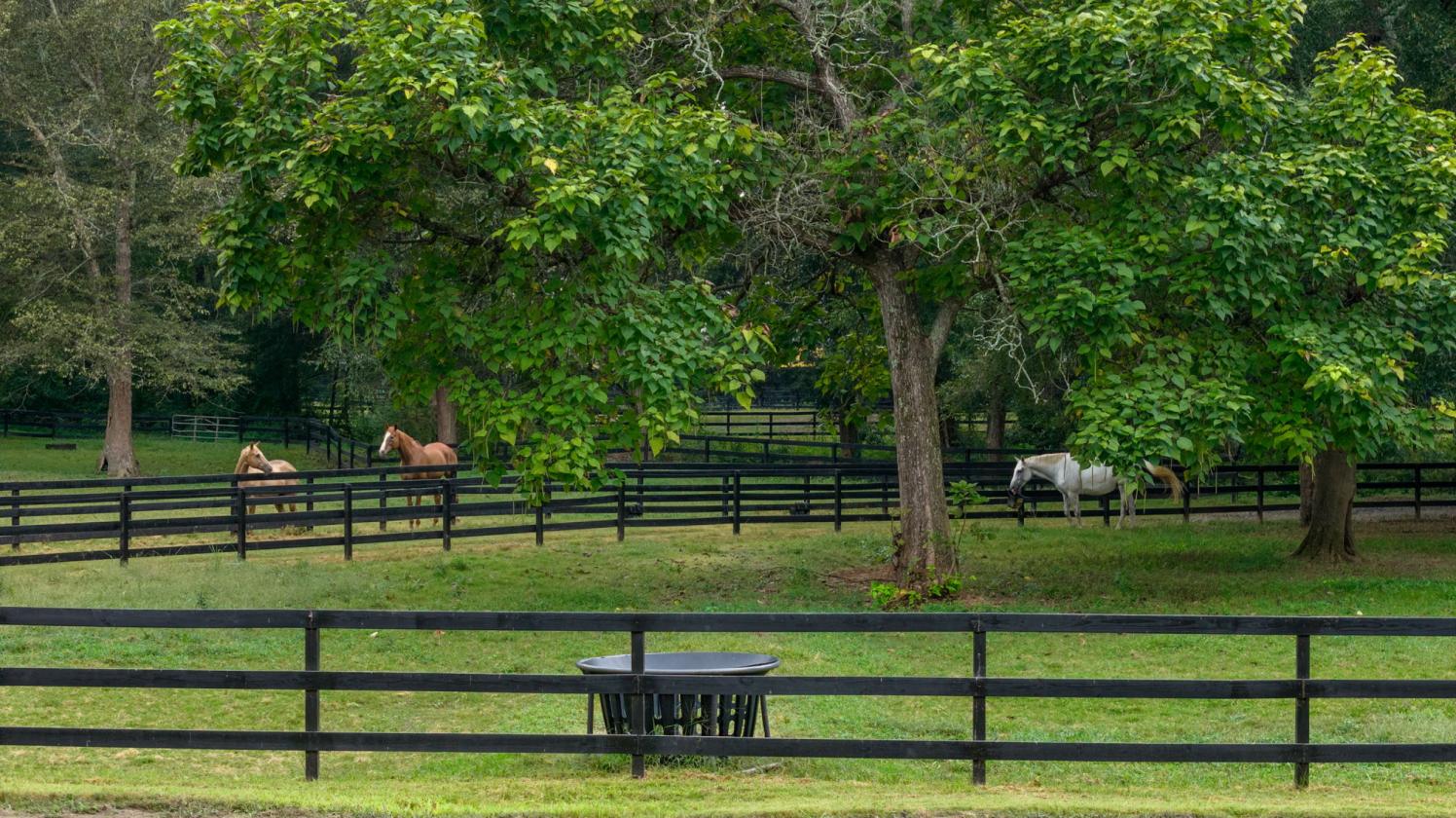 Turnkey Gated Horse Farm with Barn & Arena - photo 25