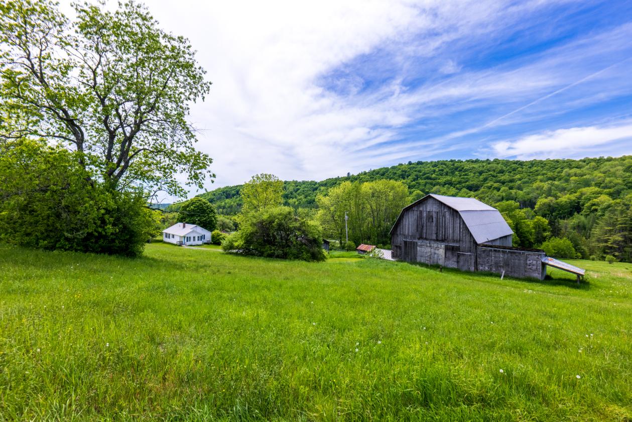 Equestrian Paradise in Picturesque Strafford - photo 1