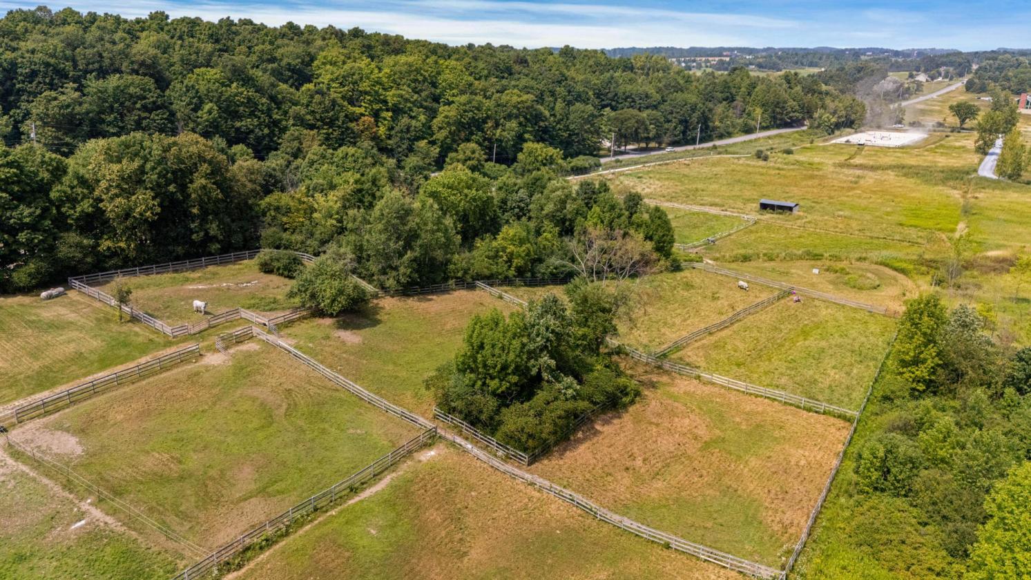 Established Equestrian Facility on 17 Acres - photo 4
