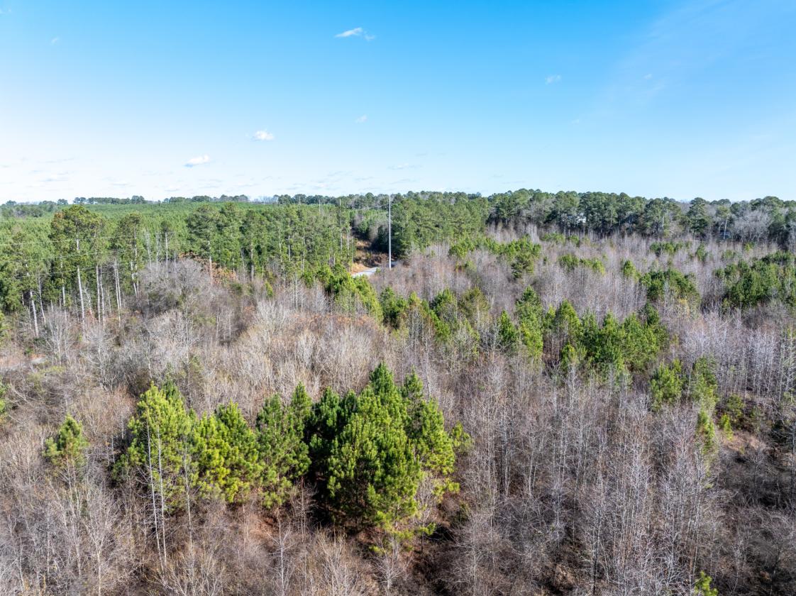 211 Acres- Luxury Estate & Equestrian Development - photo 14