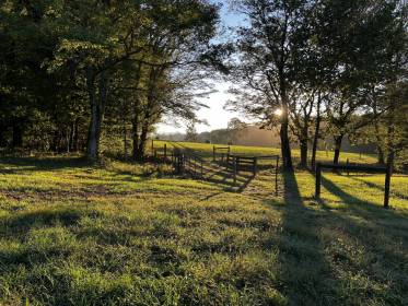 Property image.