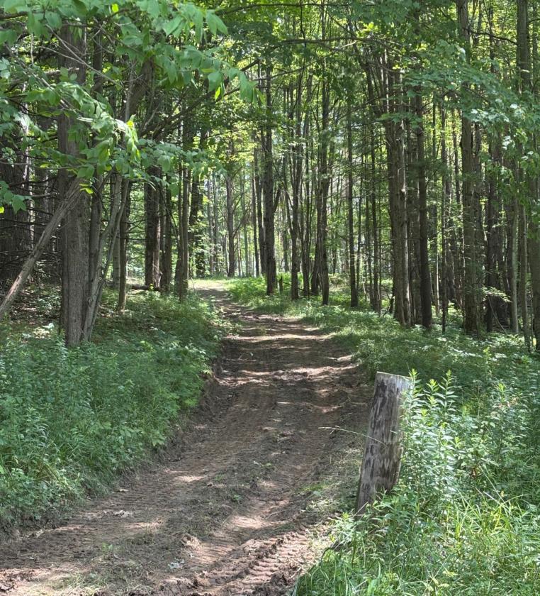 WNY Campground with Equine Facilities - photo 28