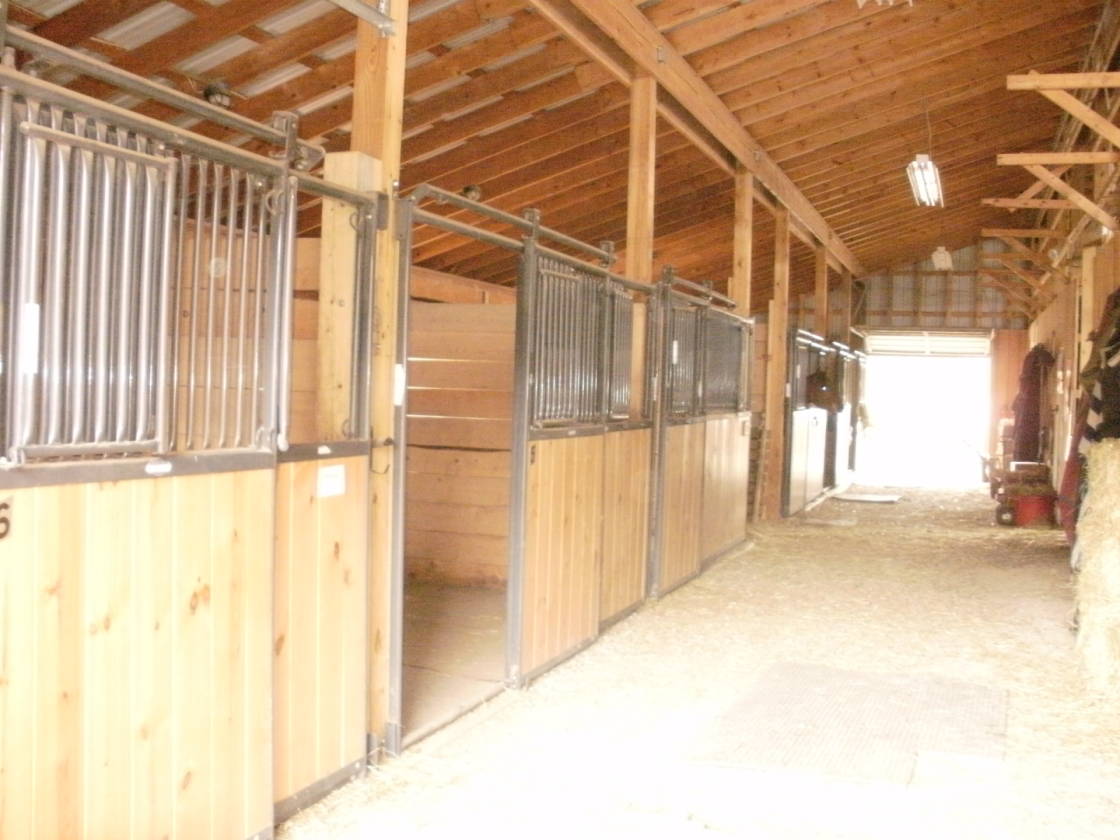 TurnKey Horse Farm & Training Center Operation on 12 Acres