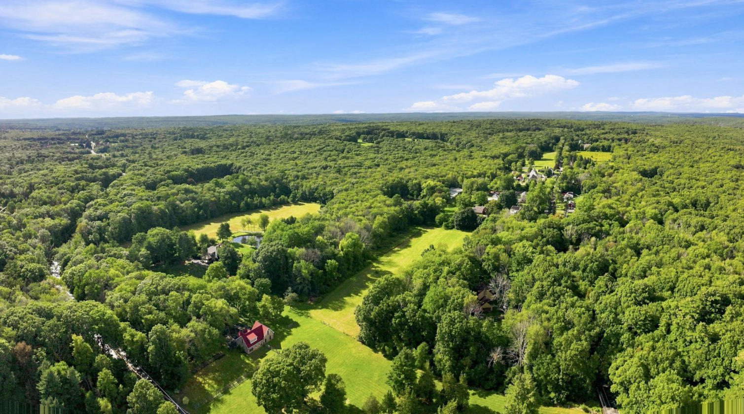22+ Acre Estate w/Home, Barn & Lots of Open Fields - photo 4