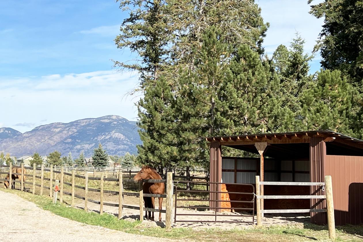 Horse Ranch Near Glacier National Park | Mountain Views! - photo 5