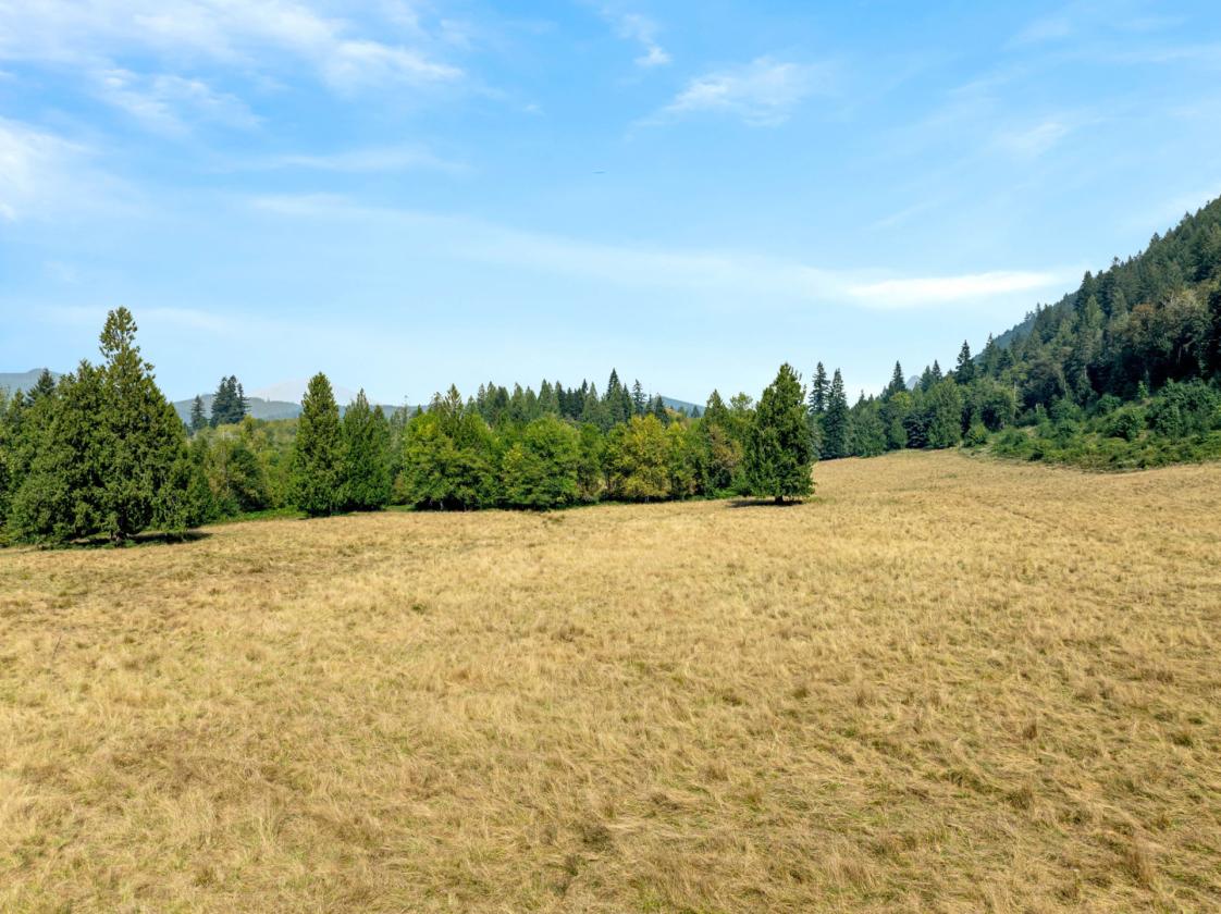33.59 Acres with Barn, Shop & Mt. St. Helens Views - photo 21
