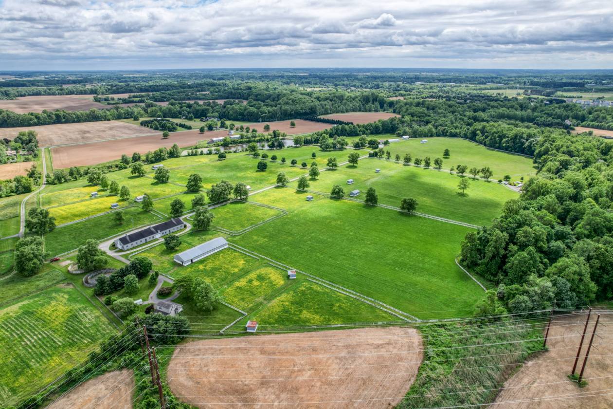 CandyLand Farm: Where Dreams Gallop Free! - photo 4