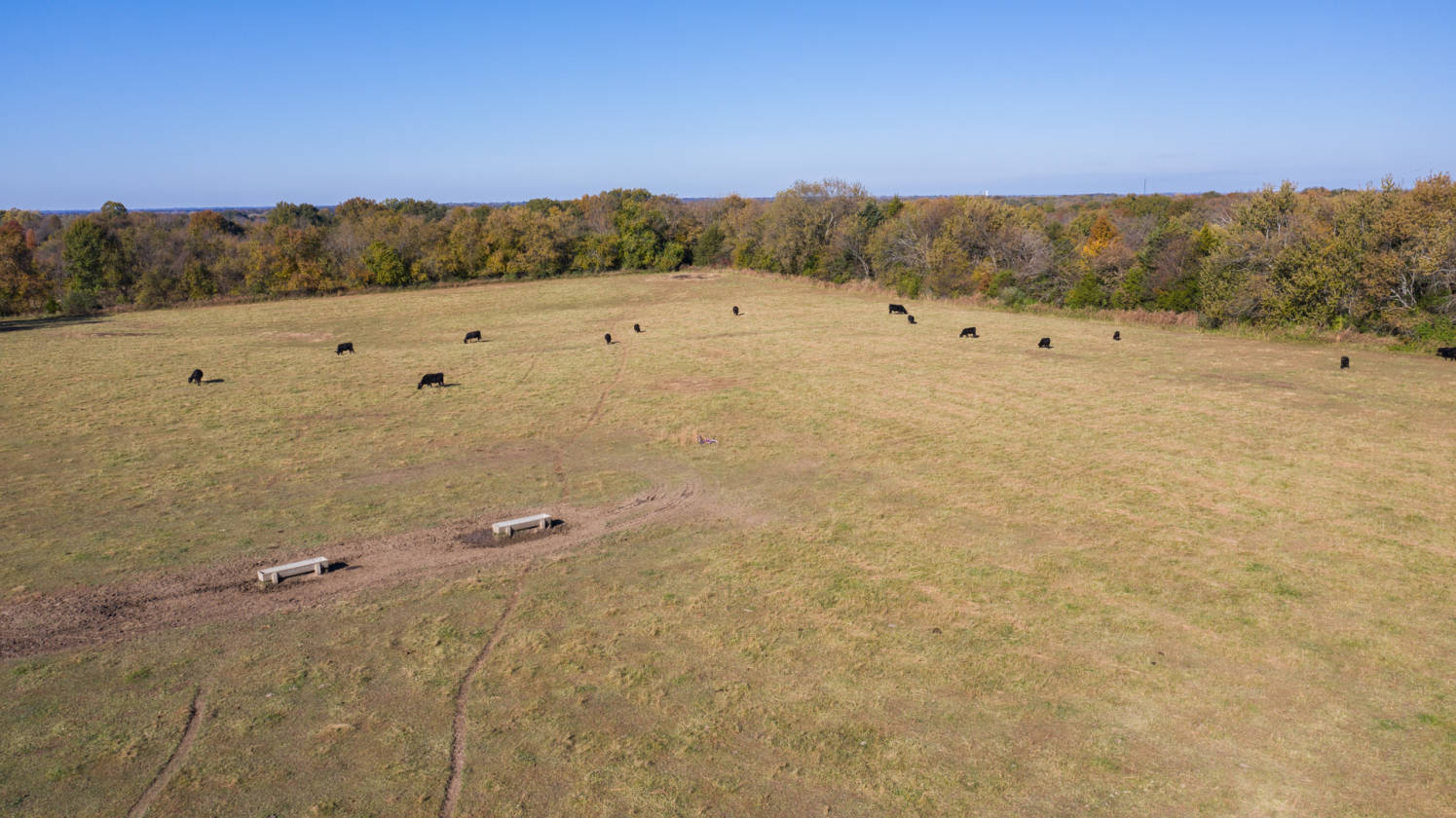 Custom Log Home and Large Building on 40 Acres Clinton, Henry County