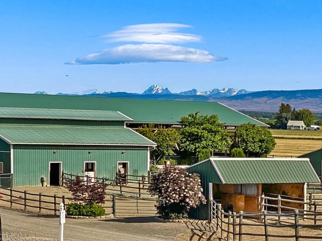 BurkeRidge Farm - photo 13