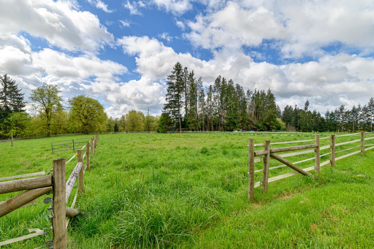 Amazing Farmhouse/Equestrian Property - photo 16