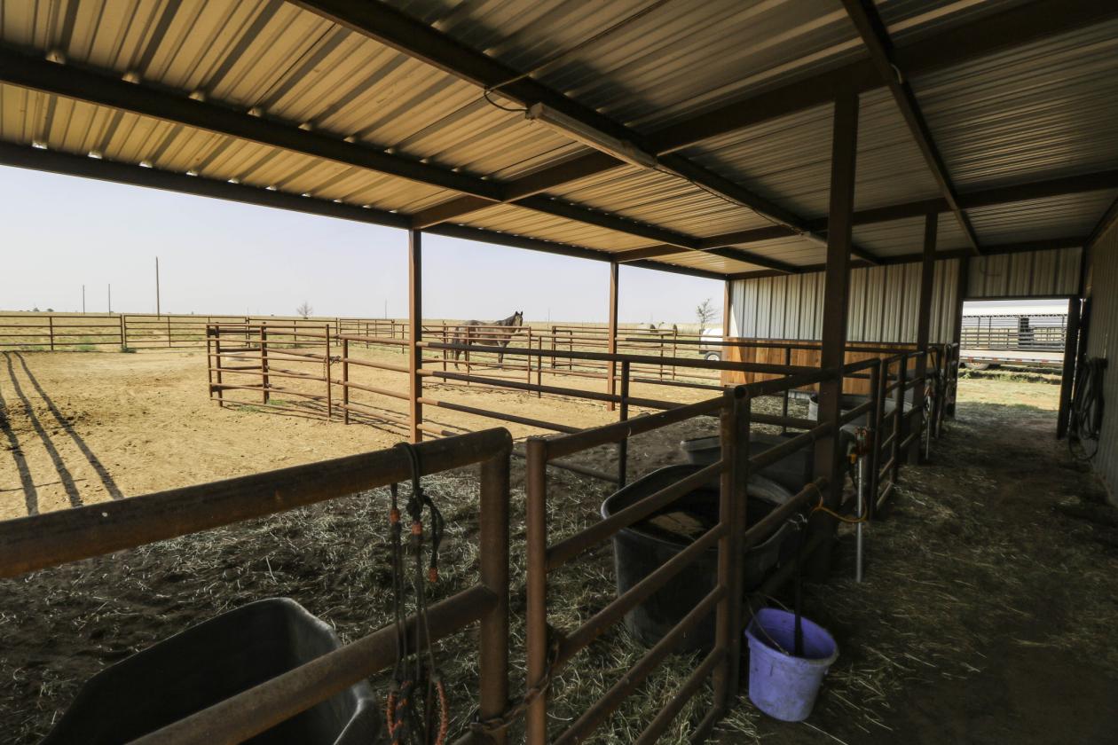 Prime Texas Ranch with Arena, Home, & Acreage - photo 21