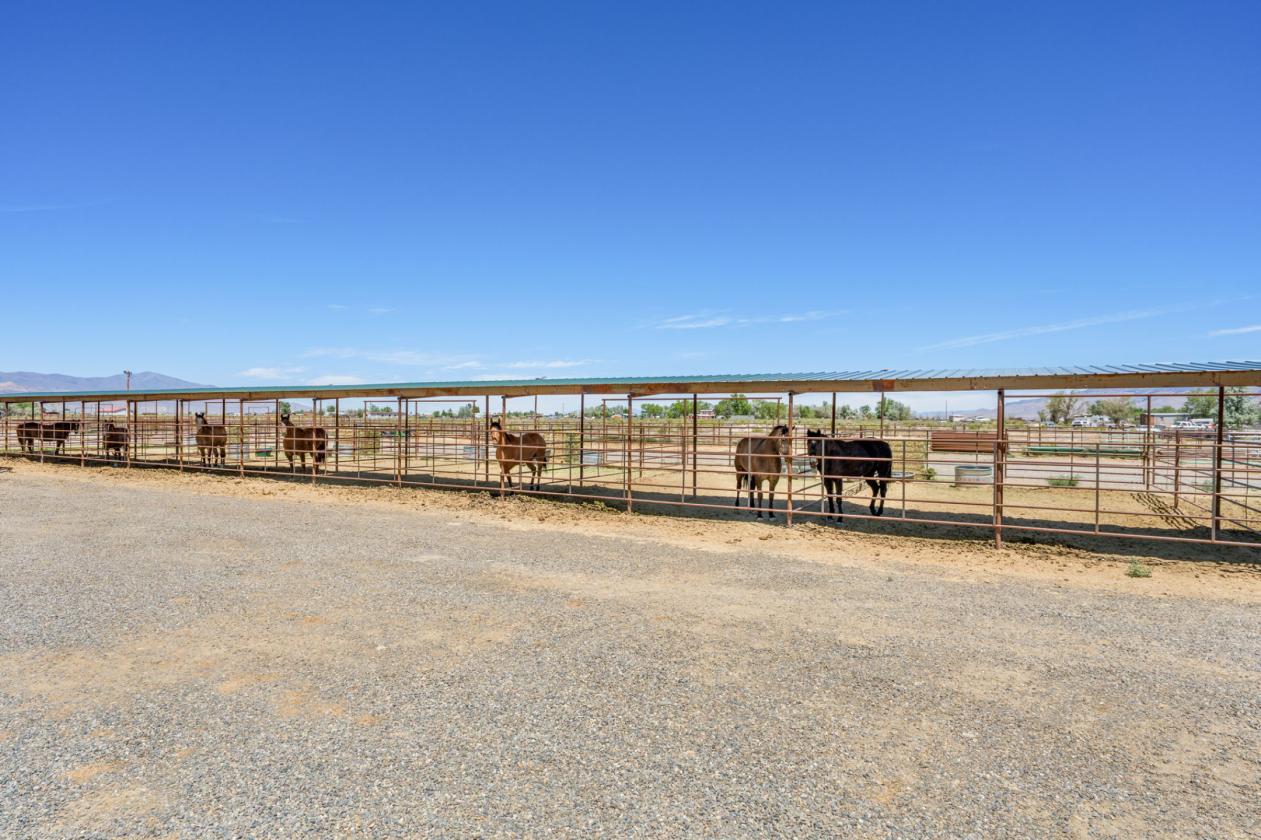 Ready For Horses ~  Turn Key Equestrian Property - photo 3