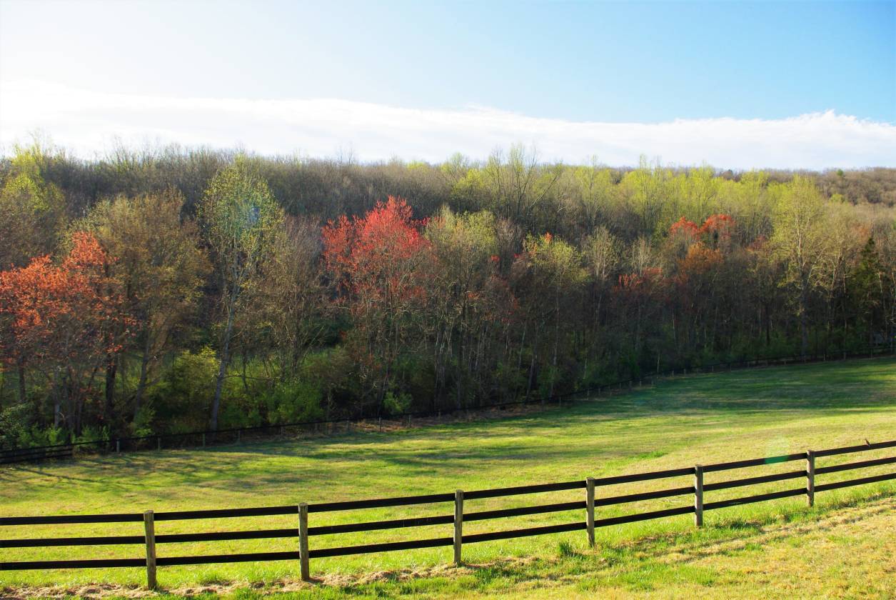 Home to Mountain View Farm Castleton, Rappahannock County