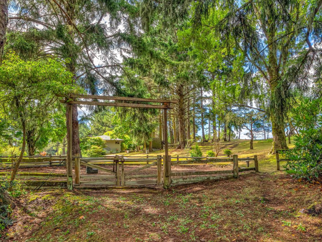 Coastal Ranch - Ride Directly from Barn to Beach! - photo 23