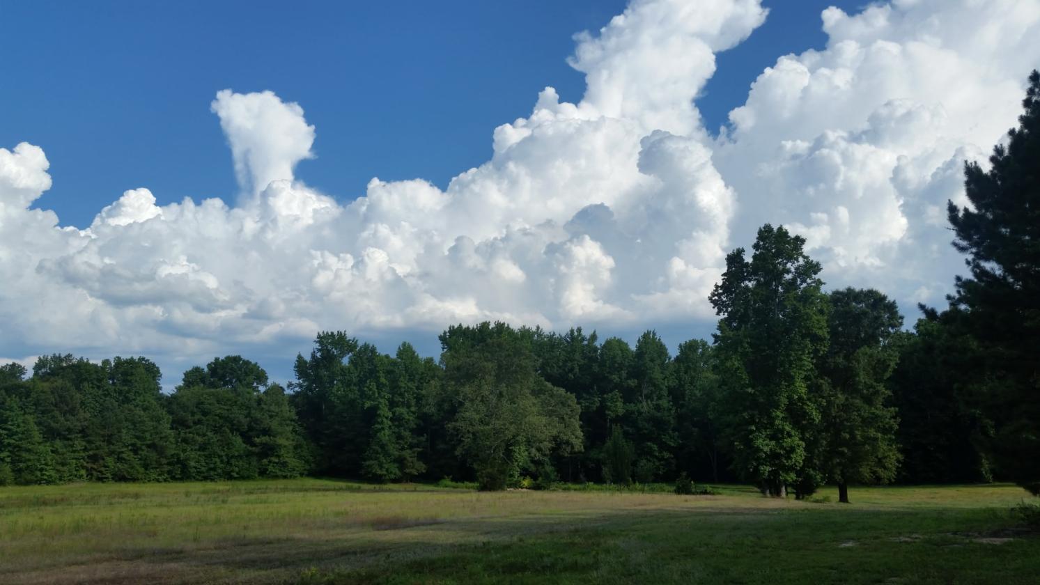 10.64 Open Acres in a Great Location - photo 4