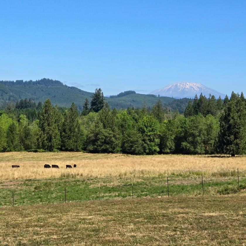 33.59 Acres with Barn, Shop & Mt. St. Helens Views - photo 4