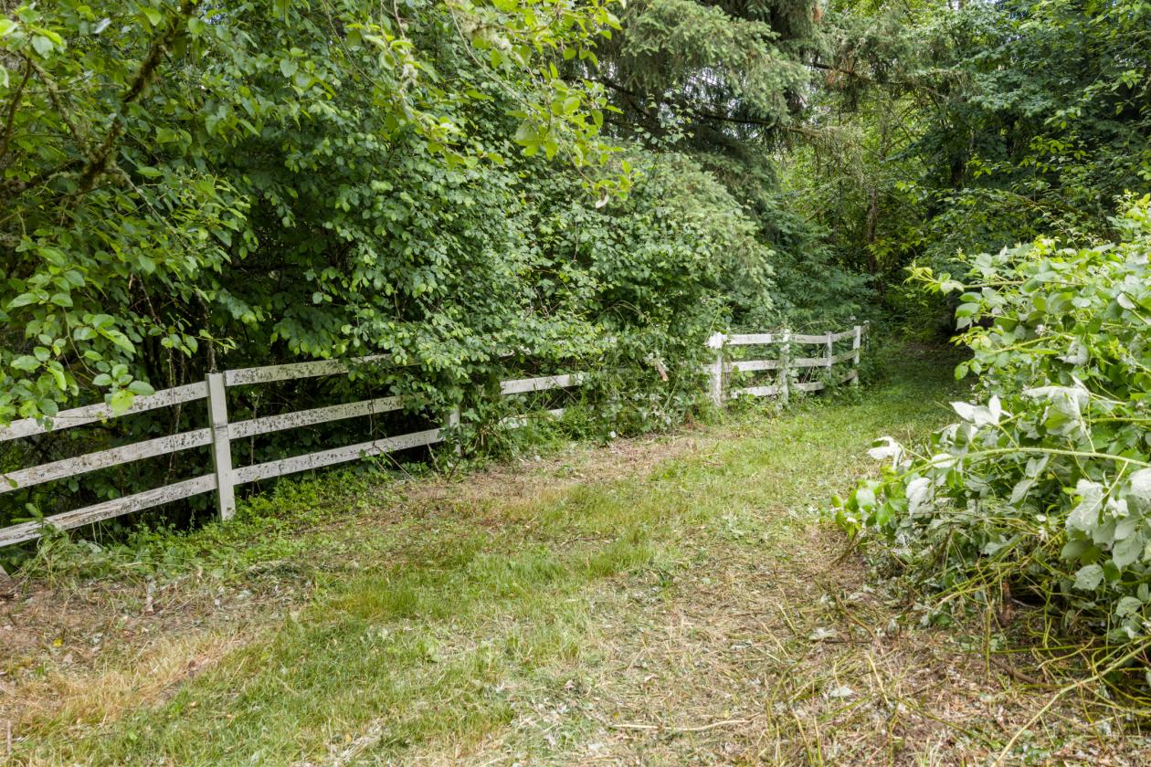 PNW Country Home w/Equestrian Foundations - photo 27