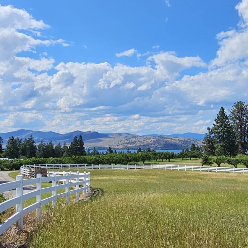 Horse Property for sale.