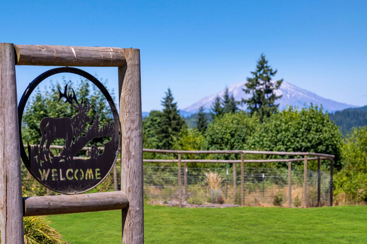 Horse Property for sale.