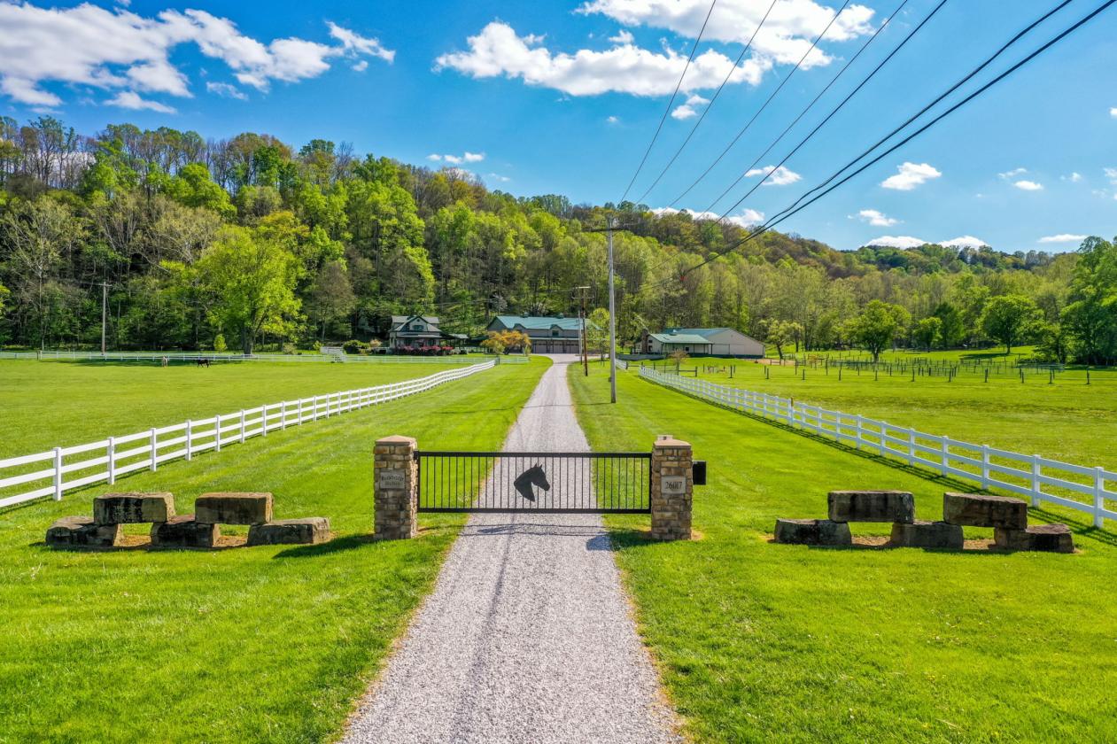 Gorgeous Getaway w/ Your Horses - photo 6