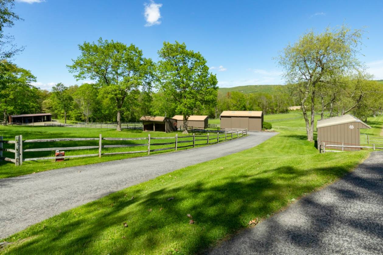 Stunning Home & Horse Property with Mountain Views in the
