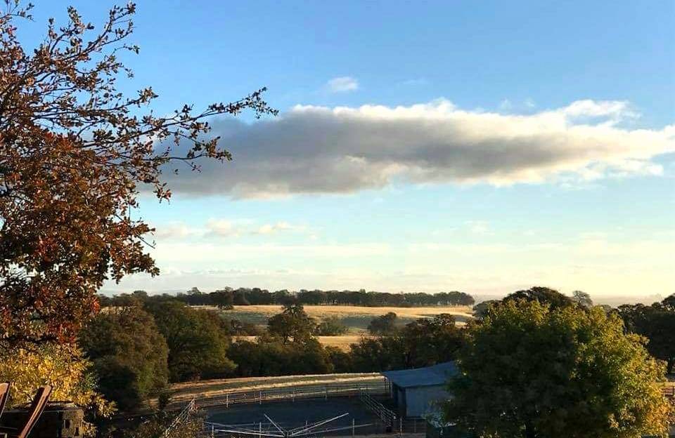 Horse Property for sale with views Winters, Yolo County