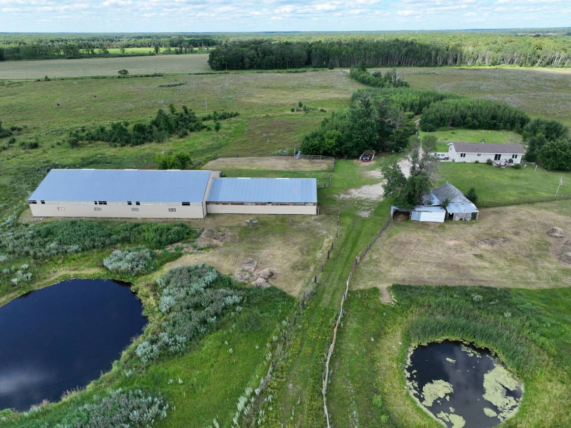 Horse Property for sale.