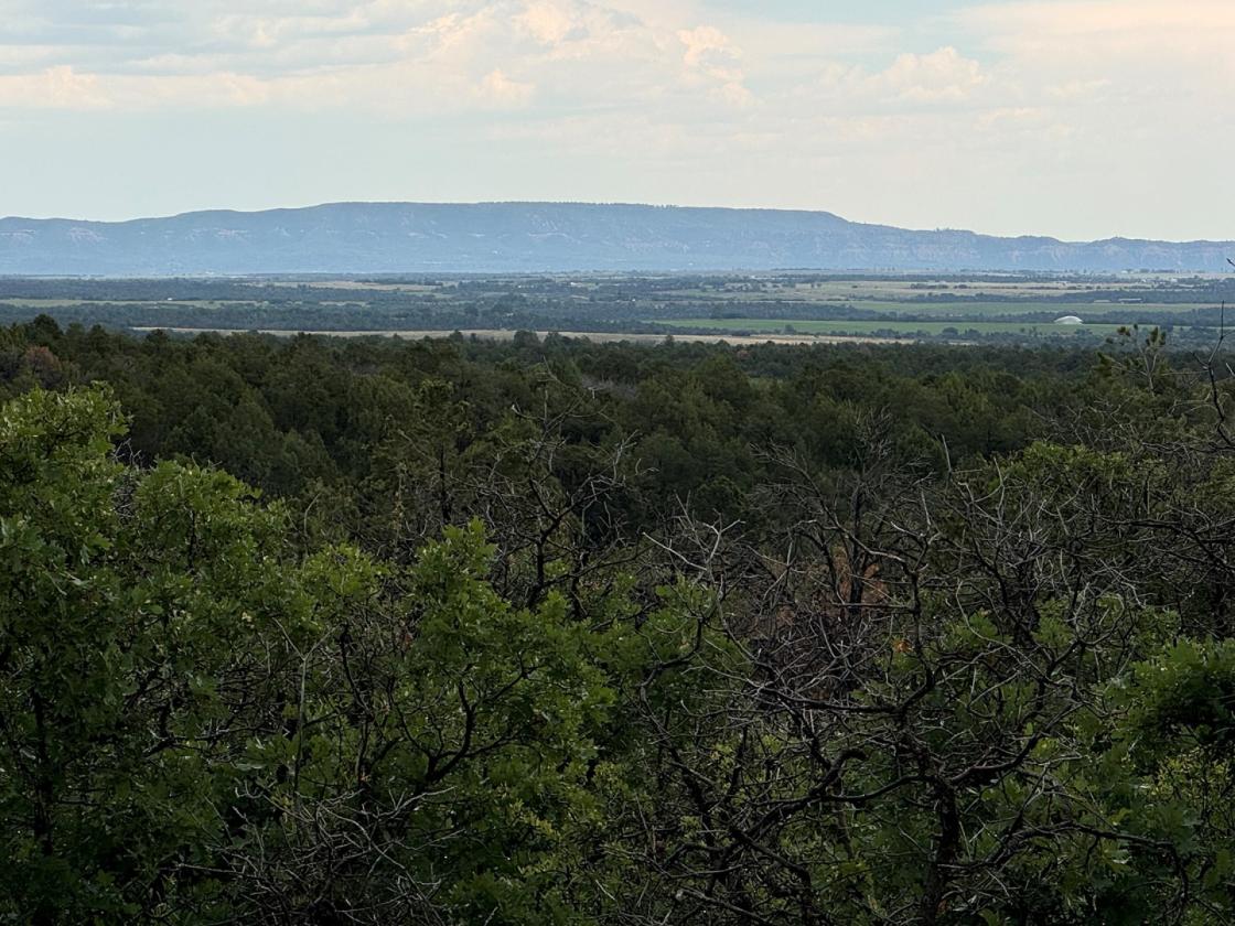 36 Acres of Mountain Land for Your Horses - photo 2