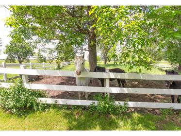 Property image.