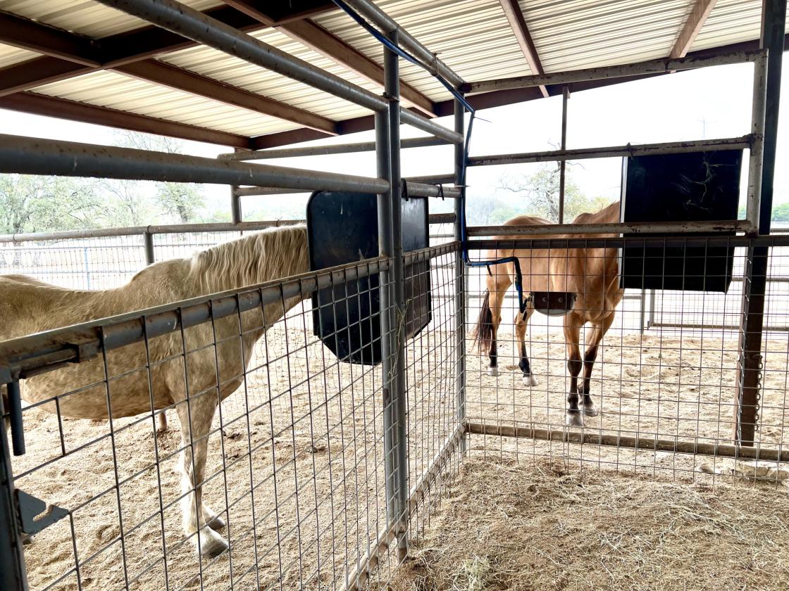 60.87 Hill Country Ranch 2.25% VA Assumable - photo 26