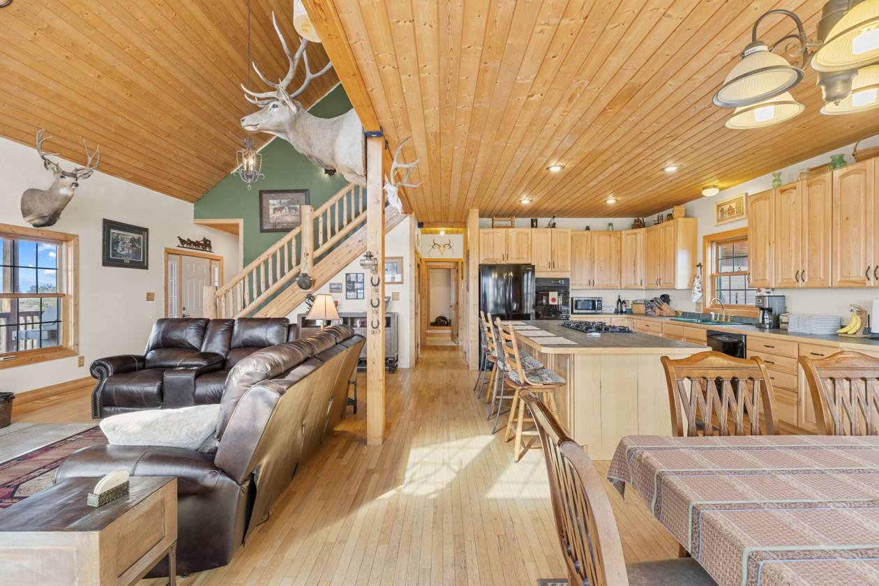 360 Degree Mountain Views for your Horses! - photo 8