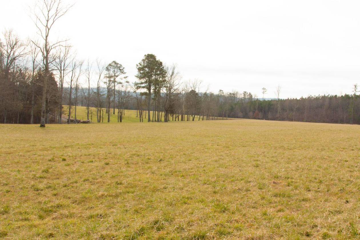 84 Acre Gated Horse farm Cleveland, Bradley County, Tennessee Horse