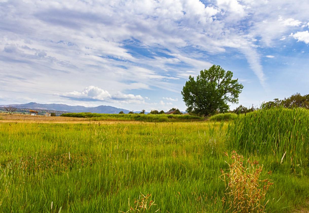 Picturesque 80-acre ranch! - photo 8