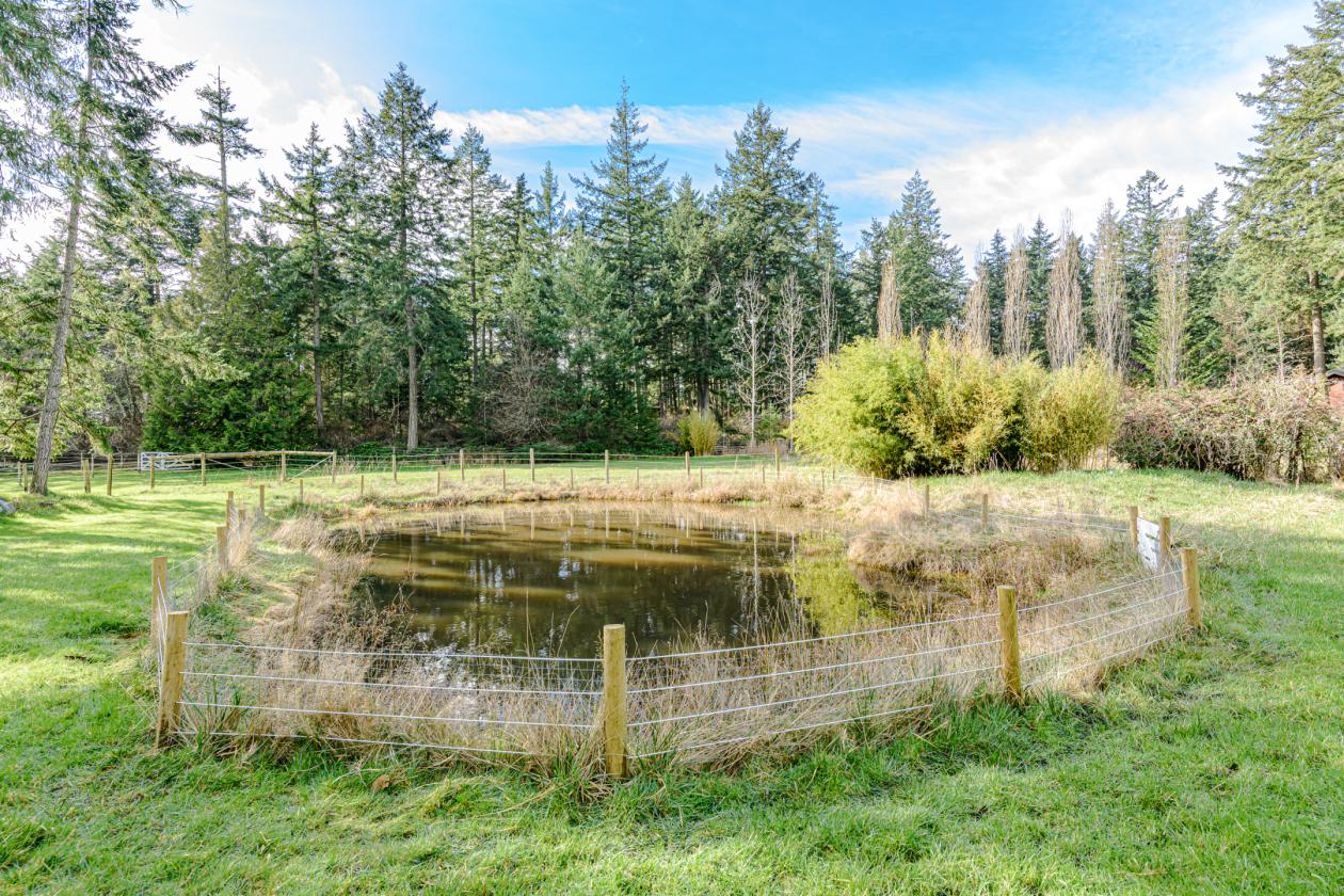 Salt Spring Island Hobby Farm Perfect for Horses!! - photo 23