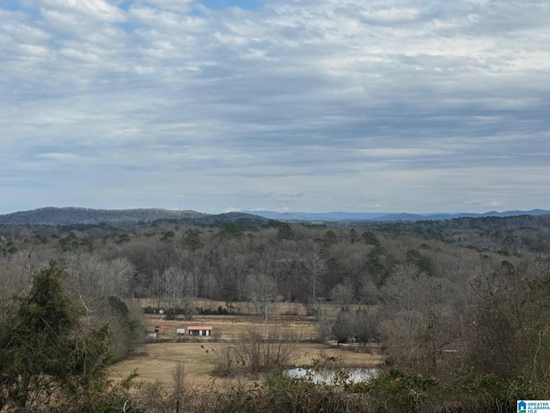 Equestrian Farm with Fantastic Mountain Views - photo 30