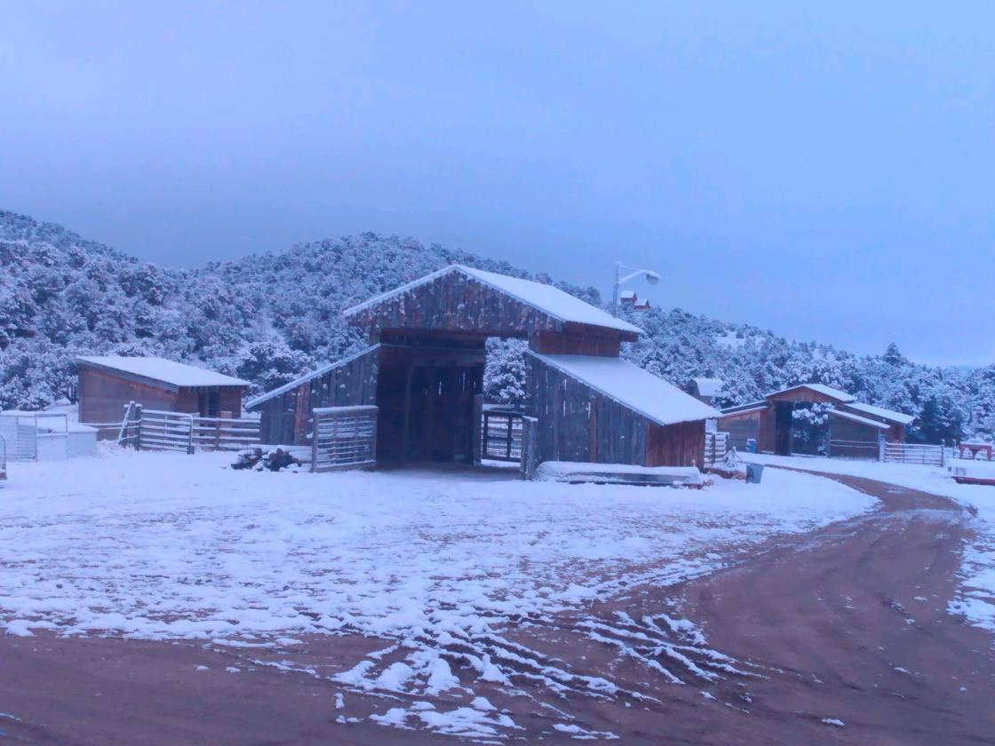 Horse property with multiple income streams - photo 11