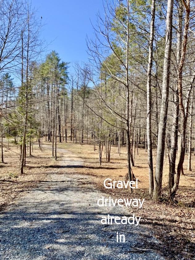 Riverfront- 12 ac at The Coves Mtn RIver Club - photo 5