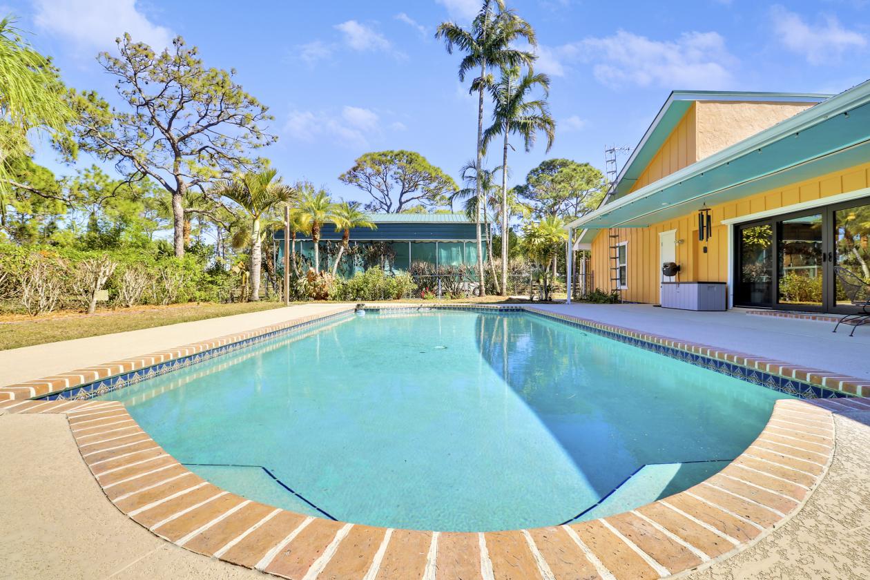 Hidden gem—bring your horse home today - photo 9