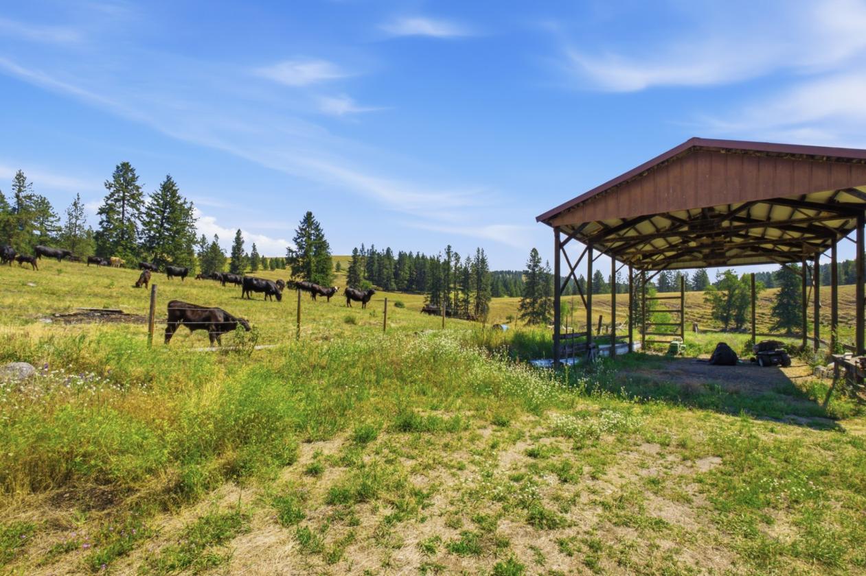 Rare 64.8 Acre Farmstead - photo 30