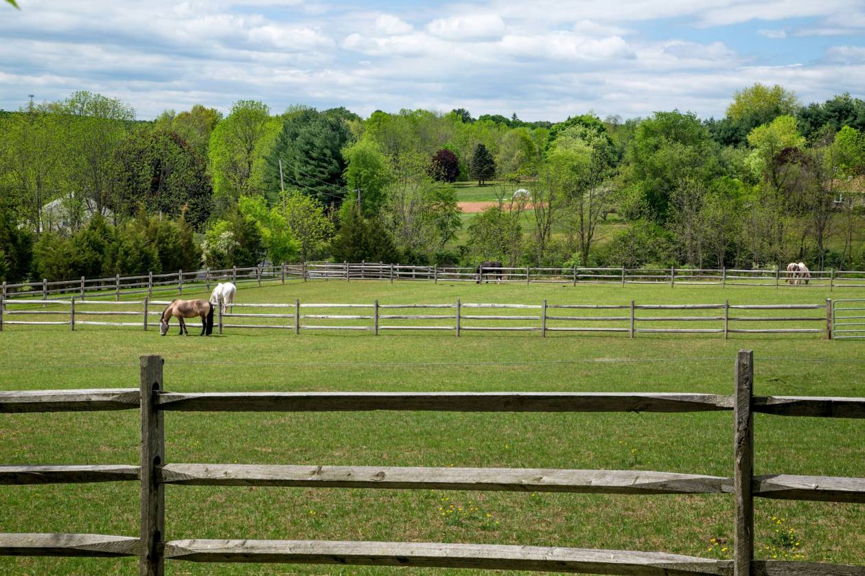 Expansive 58-Acre Property with Stable & Arena - photo 28