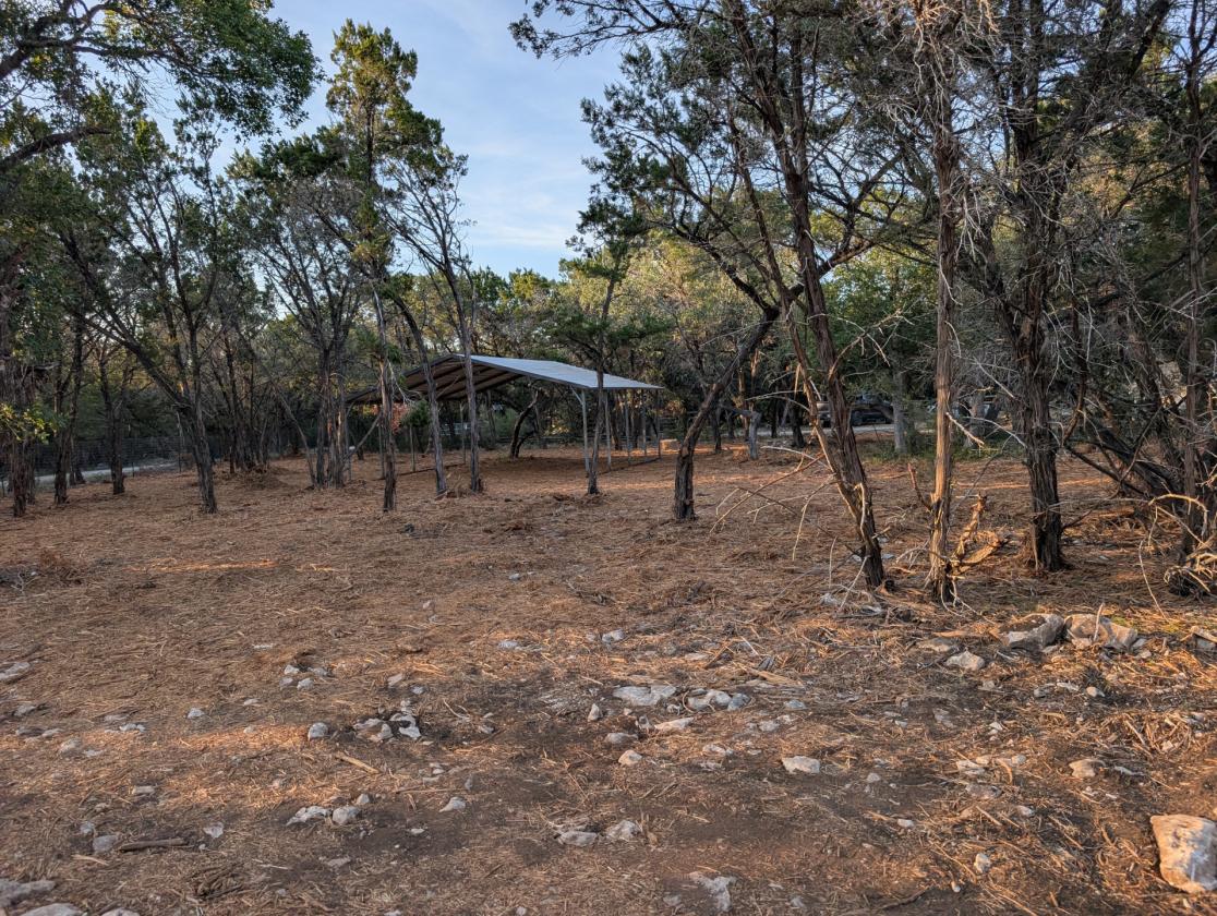 Pasture(s) Land for Lease with Arena Access - photo 2