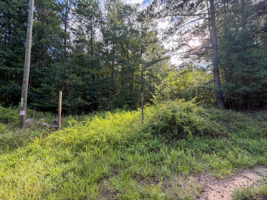 Bear Creek Retreat - photo 9