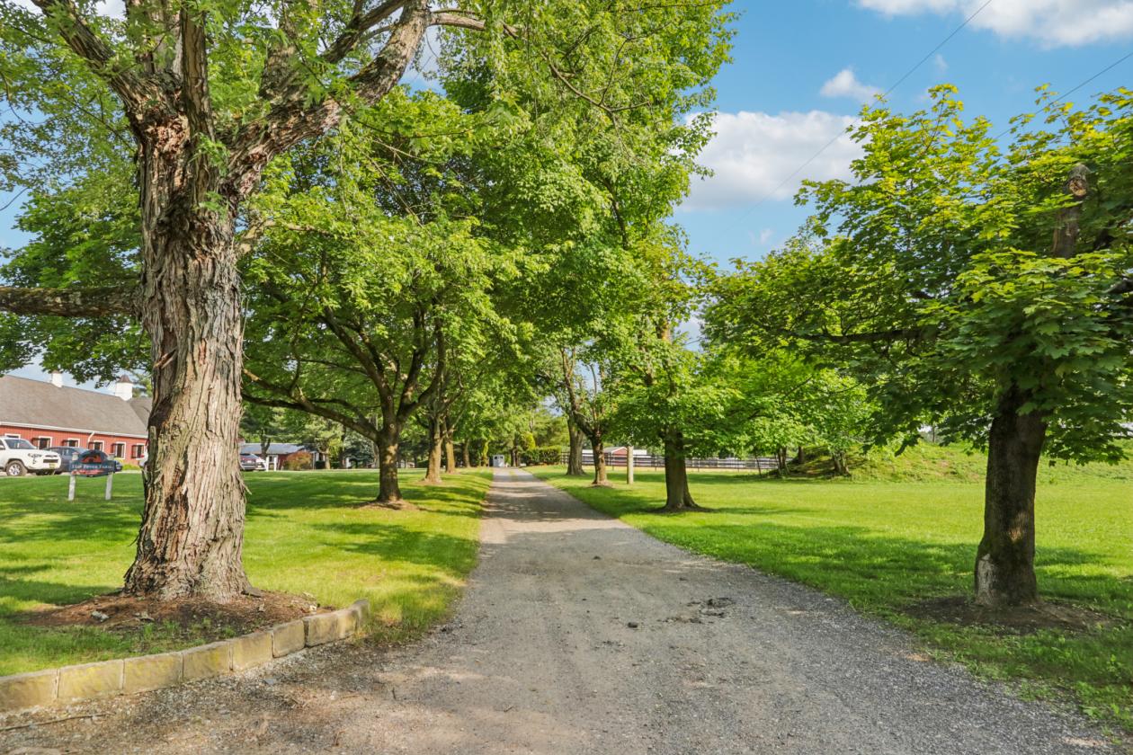 Equestrian Farm w/ 2 Homes & Caretaker Quarters - photo 15