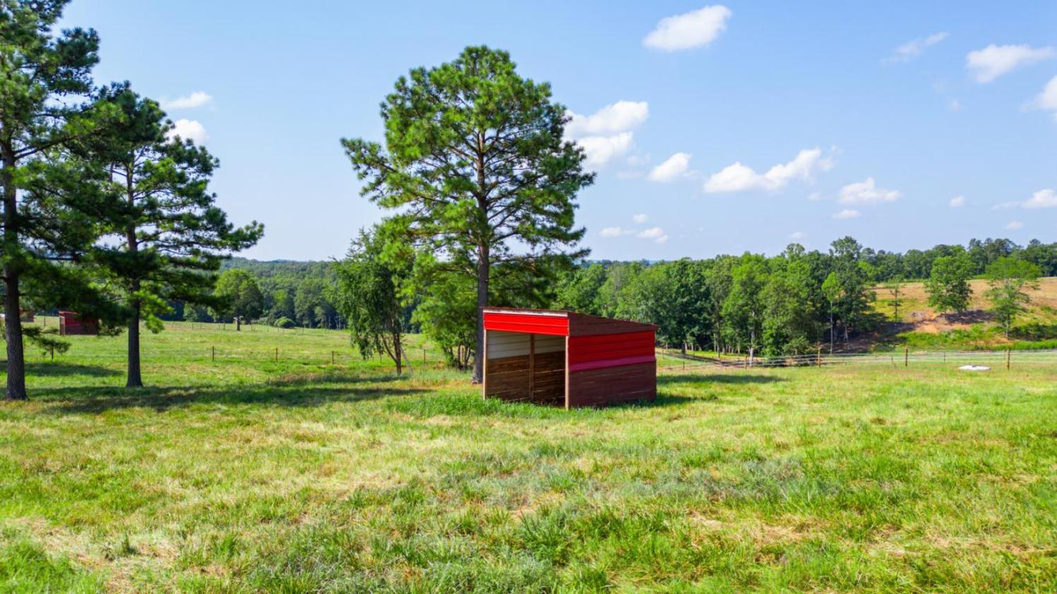 Where Equestrian Dreams Meet Reality - photo 5